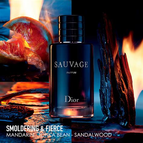 dior sauce|Dior sephora sauvage cologne.